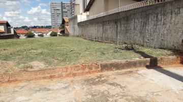 Terreno / Padrão em São José do Rio Preto , Comprar por R$400.000,00