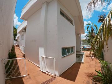 Alugar Casa / Condomínio em São José do Rio Preto apenas R$ 13.000,00 - Foto 43
