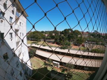 Alugar Apartamento / Padrão em São José do Rio Preto R$ 600,00 - Foto 14