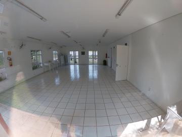 Alugar Apartamento / Padrão em São José do Rio Preto apenas R$ 950,00 - Foto 23