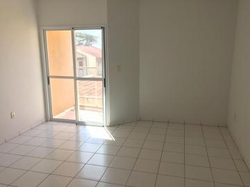 Alugar Apartamento / Padrão em São José do Rio Preto R$ 1.150,00 - Foto 15