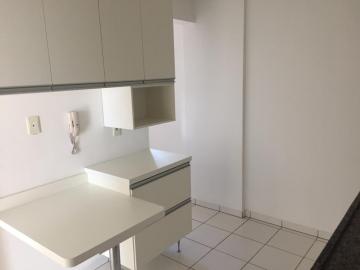 Alugar Apartamento / Padrão em São José do Rio Preto R$ 1.150,00 - Foto 9