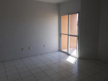 Alugar Apartamento / Padrão em São José do Rio Preto R$ 1.150,00 - Foto 16