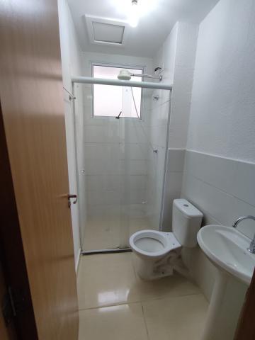 Alugar Apartamento / Padrão em São José do Rio Preto apenas R$ 900,00 - Foto 16