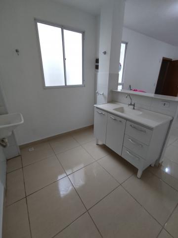 Alugar Apartamento / Padrão em São José do Rio Preto R$ 900,00 - Foto 5