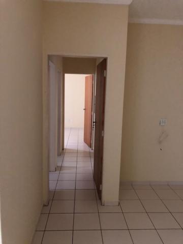 Alugar Apartamento / Padrão em São José do Rio Preto apenas R$ 650,00 - Foto 8