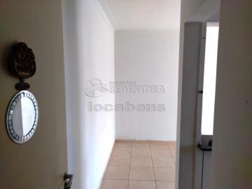 Alugar Apartamento / Padrão em São José do Rio Preto R$ 500,00 - Foto 2