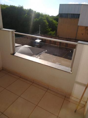 Alugar Apartamento / Padrão em São José do Rio Preto R$ 500,00 - Foto 6