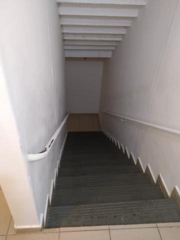 Alugar Apartamento / Padrão em São José do Rio Preto apenas R$ 500,00 - Foto 16