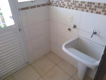 Alugar Apartamento / Padrão em São José do Rio Preto R$ 1.100,00 - Foto 11