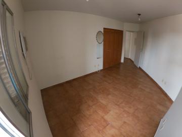 Alugar Apartamento / Padrão em São José do Rio Preto R$ 550,00 - Foto 2