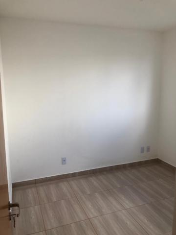 Alugar Apartamento / Padrão em São José do Rio Preto R$ 500,00 - Foto 5