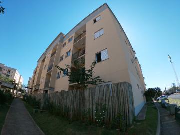 Alugar Apartamento / Padrão em São José do Rio Preto.