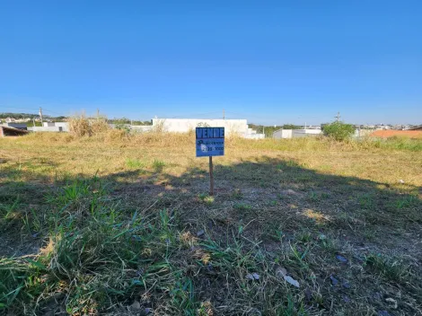 Comprar Terreno / Padrão em Bady Bassitt R$ 78.000,00 - Foto 5