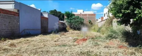 Comprar Terreno / Padrão em Bady Bassitt apenas R$ 110.000,00 - Foto 2