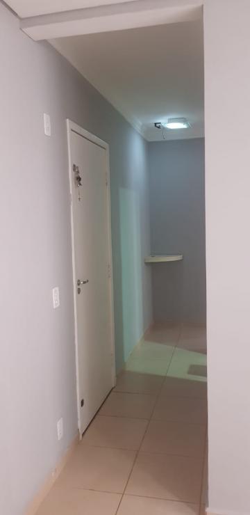 Alugar Apartamento / Padrão em São José do Rio Preto apenas R$ 790,00 - Foto 3