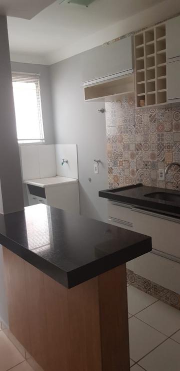 Alugar Apartamento / Padrão em São José do Rio Preto apenas R$ 790,00 - Foto 10