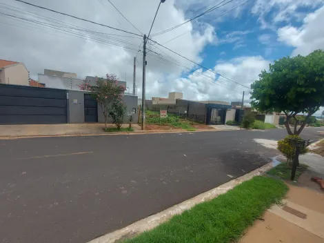 Terreno / Padrão em São José do Rio Preto 