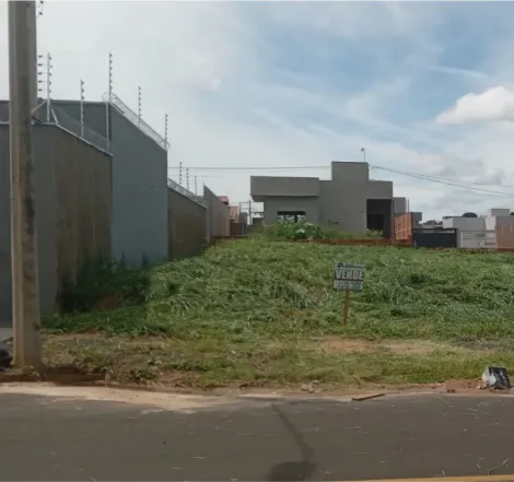 Alugar Terreno / Padrão em São José do Rio Preto. apenas R$ 119.000,00