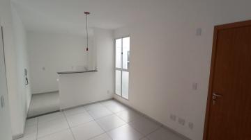 Alugar Apartamento / Padrão em São José do Rio Preto apenas R$ 700,00 - Foto 12