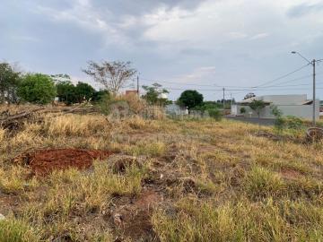 Comprar Terreno / Padrão em Bady Bassitt R$ 95.250,00 - Foto 6