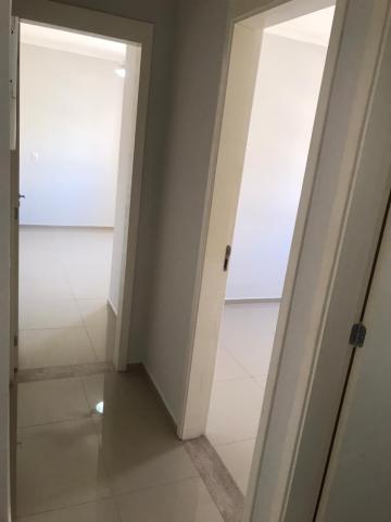 Comprar Apartamento / Padrão em São José do Rio Preto - Foto 9