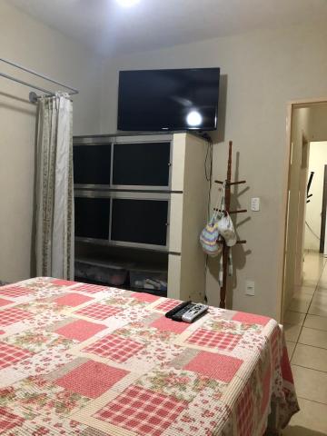 Comprar Rural / Chácara em São José do Rio Preto R$ 800.000,00 - Foto 4