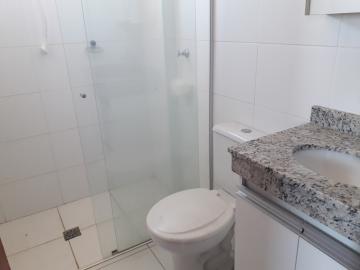 Comprar Apartamento / Cobertura em São José do Rio Preto - Foto 9