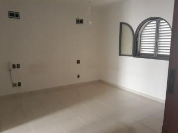 Alugar Comercial / Casa Comercial em São José do Rio Preto R$ 3.000,00 - Foto 7