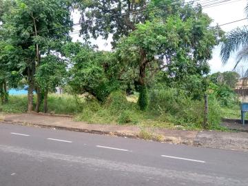 Comprar Terreno / Área em São José do Rio Preto R$ 1.400.000,00 - Foto 6