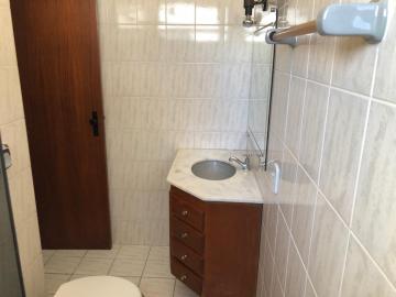 Alugar Apartamento / Padrão em São José do Rio Preto R$ 1.750,00 - Foto 12