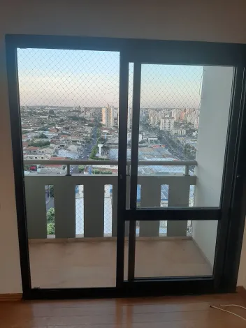 Alugar Apartamento / Cobertura em São José do Rio Preto R$ 3.000,00 - Foto 7