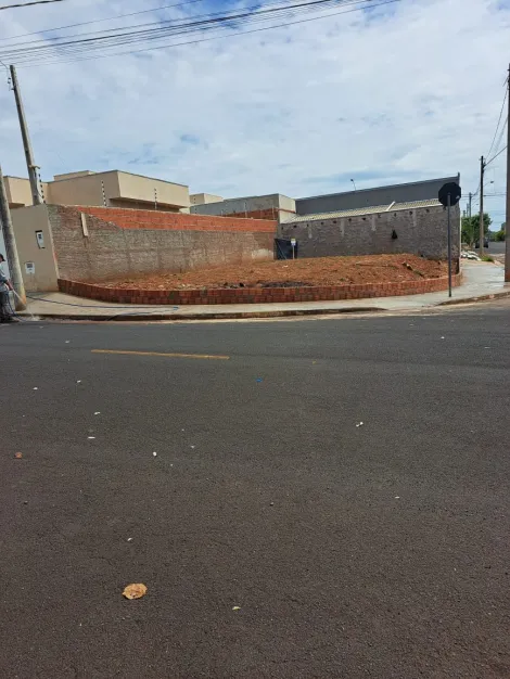 Alugar Terreno / Padrão em São José do Rio Preto. apenas R$ 85.000,00