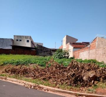 Terreno / Padrão em São José do Rio Preto 