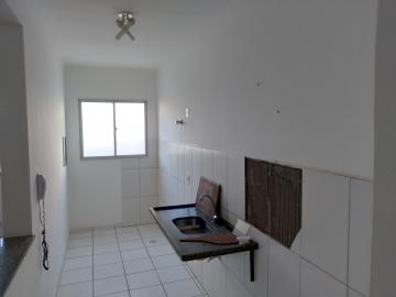 Alugar Apartamento / Cobertura em São José do Rio Preto apenas R$ 1.200,00 - Foto 4