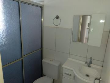 Alugar Apartamento / Cobertura em São José do Rio Preto apenas R$ 1.200,00 - Foto 12