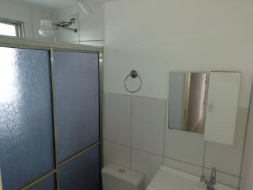 Alugar Apartamento / Cobertura em São José do Rio Preto apenas R$ 1.200,00 - Foto 13