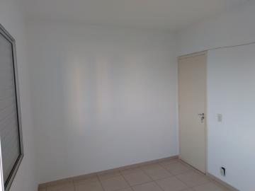 Alugar Apartamento / Cobertura em São José do Rio Preto apenas R$ 1.200,00 - Foto 16
