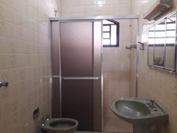 Comprar Casa / Padrão em São José do Rio Preto apenas R$ 385.000,00 - Foto 13