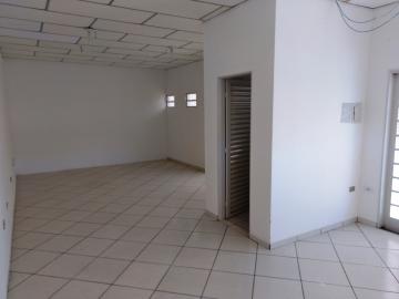 Alugar Comercial / Salão em São José do Rio Preto apenas R$ 8.000,00 - Foto 18