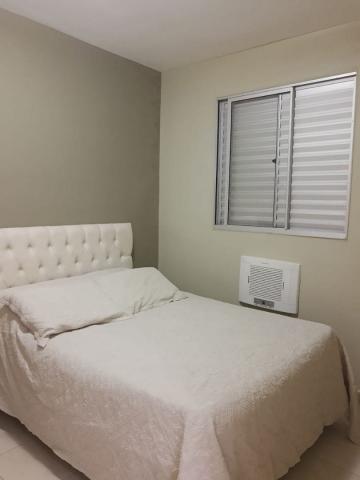 Alugar Apartamento / Padrão em São José do Rio Preto apenas R$ 900,00 - Foto 13