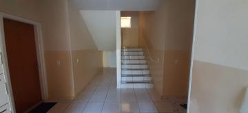 Alugar Apartamento / Padrão em São José do Rio Preto R$ 900,00 - Foto 15