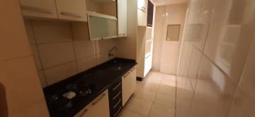 Alugar Apartamento / Padrão em São José do Rio Preto R$ 900,00 - Foto 10