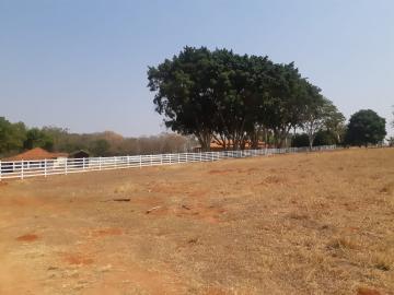 Comprar Rural / Chácara em Bady Bassitt R$ 2.900.000,00 - Foto 64