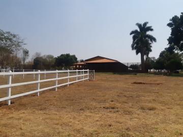 Comprar Rural / Chácara em Bady Bassitt R$ 2.900.000,00 - Foto 62