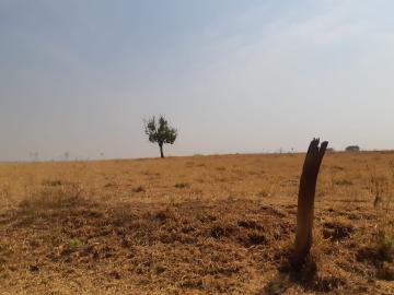 Comprar Rural / Chácara em Bady Bassitt R$ 2.900.000,00 - Foto 68