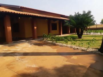 Comprar Rural / Chácara em Bady Bassitt R$ 2.900.000,00 - Foto 3