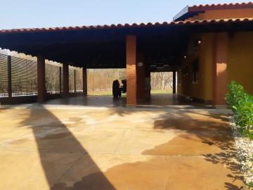 Comprar Rural / Chácara em Bady Bassitt R$ 2.900.000,00 - Foto 10