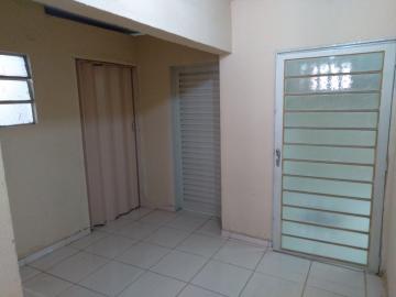 Comprar Comercial / Casa Comercial em São José do Rio Preto apenas R$ 1.500.000,00 - Foto 23