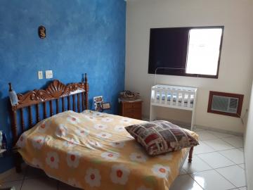 Comprar Casa / Padrão em Cedral apenas R$ 1.300.000,00 - Foto 20